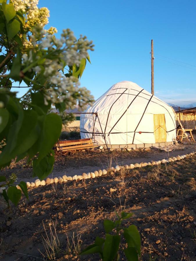 ホテル Yurt Camp Sonun Bokonbayevo エクステリア 写真