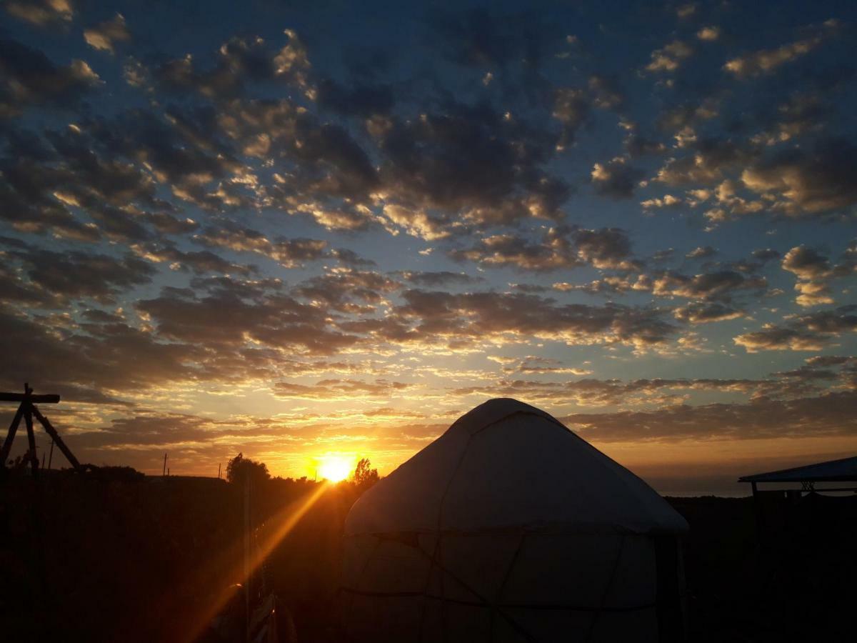 ホテル Yurt Camp Sonun Bokonbayevo エクステリア 写真